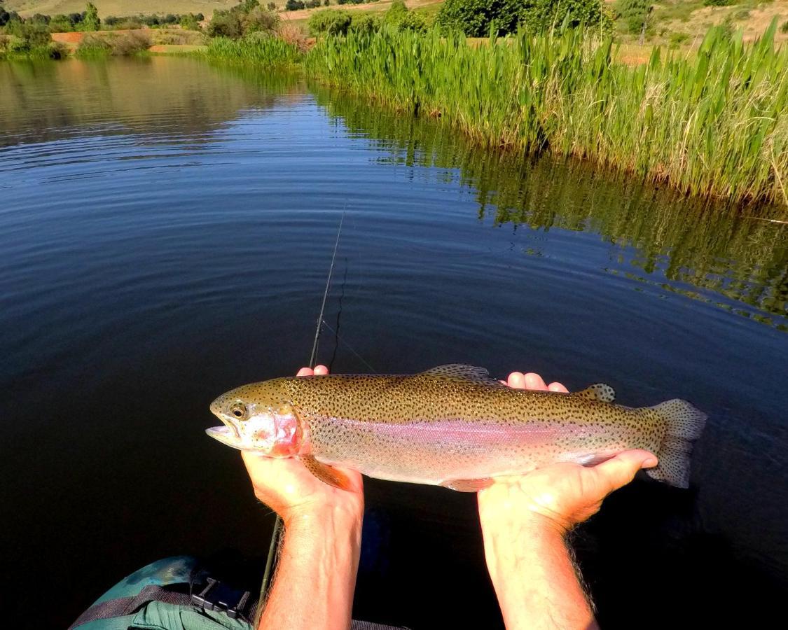 Walkersons Trout And Nature Haven Dullstroom Eksteriør billede