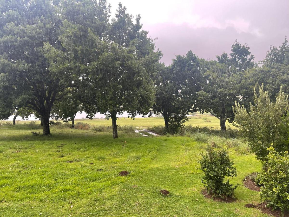 Walkersons Trout And Nature Haven Dullstroom Eksteriør billede
