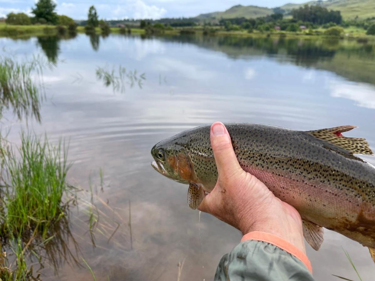 Walkersons Trout And Nature Haven Dullstroom Eksteriør billede